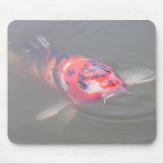 Koi Pond Mouse Mat