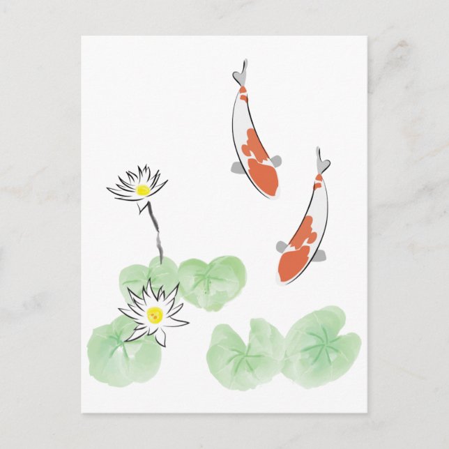 Koi Pond - White Background Postcard (Front)
