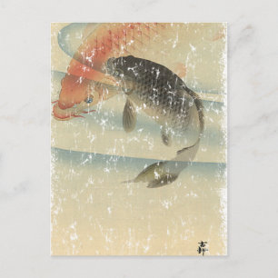 Koi Postcard