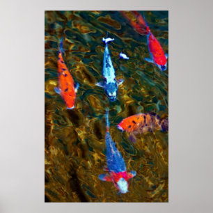 Koi Poster
