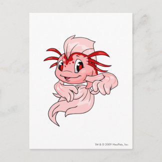 Koi Red Postcard