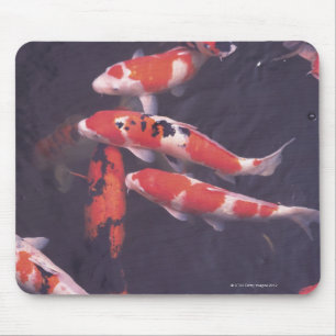 Koi swimming in pool mouse mat