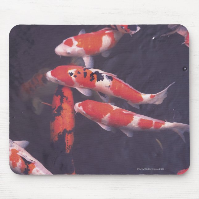 Koi swimming in pool mouse mat (Front)