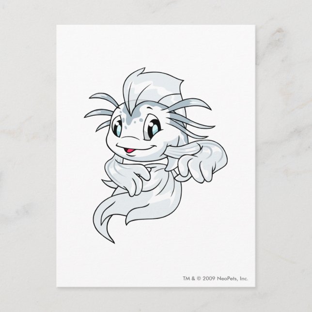 Koi White Postcard (Front)