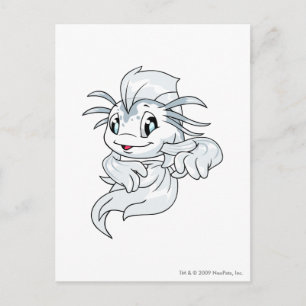 Koi White Postcard