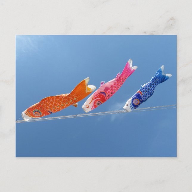 Koinobori (carp streamers): Japan Postcard (Front)