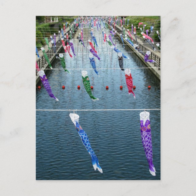 Koinobori (carp streamers): Japan Postcard (Front)