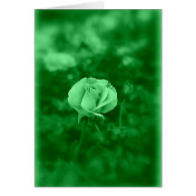 Koinonia   "Fellowship On The Path"