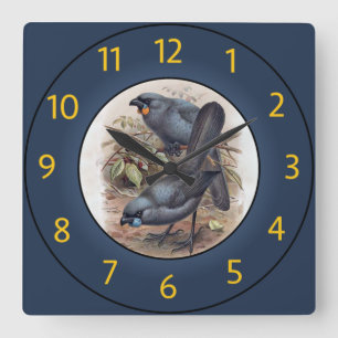 Kōkako Callaeas Wilsoni, Kōkako Callaeas Cinereus~ Square Wall Clock