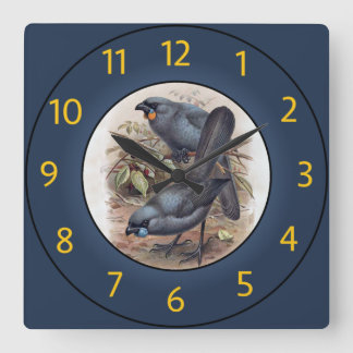 Kōkako Callaeas Wilsoni, Kōkako Callaeas Cinereus~ Square Wall Clock
