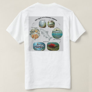 Kokanee Salmon Life‑Cycle Graphic T-Shirt