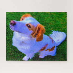 Kokoni Dog. Jigsaw Puzzle