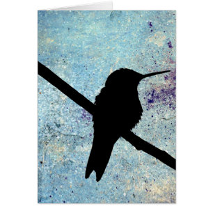 Kolibri, Good Birthday