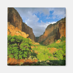 Kolob Canyon at Zion Canyon in Zion National Magnet