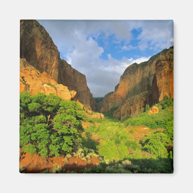 Kolob Canyon at Zion Canyon in Zion National Magnet (Front)