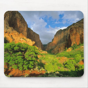 Kolob Canyon at Zion Canyon in Zion National Mouse Mat