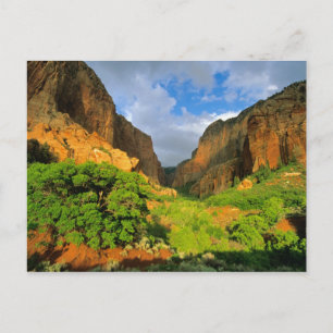 Kolob Canyon at Zion Canyon in Zion National Postcard