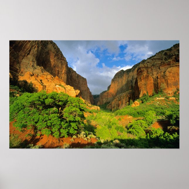 Kolob Canyon at Zion Canyon in Zion National Poster (Front)