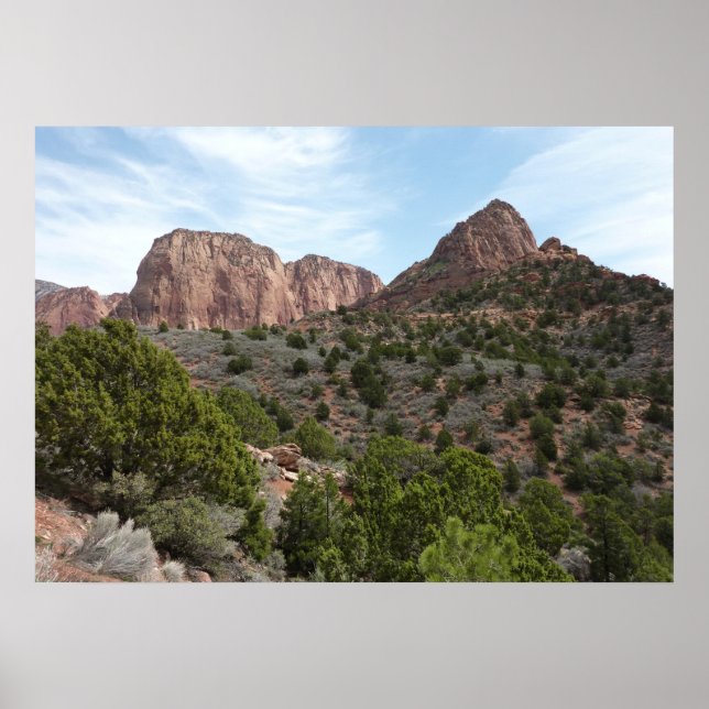 Kolob Canyons at Zion National Park Poster (Front)
