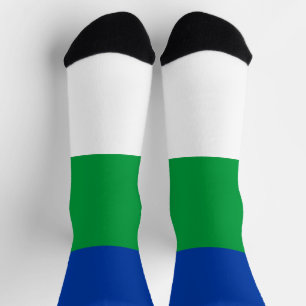 Komi Republic Flag Socks