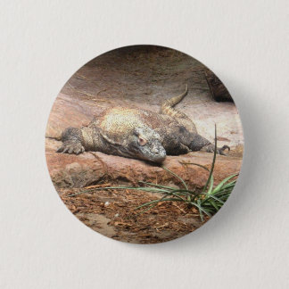 Komodo Dragon 6 Cm Round Badge