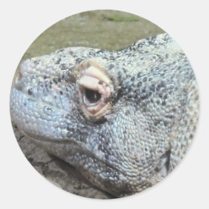 Komodo Dragon Classic Round Sticker