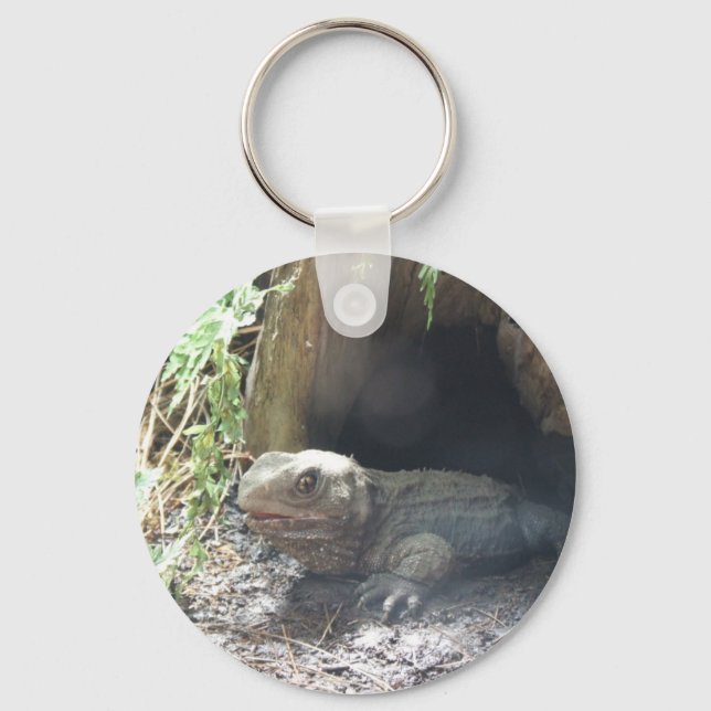 Komodo Dragon Coming Out Of His Home Under Tree Key Ring (Front)
