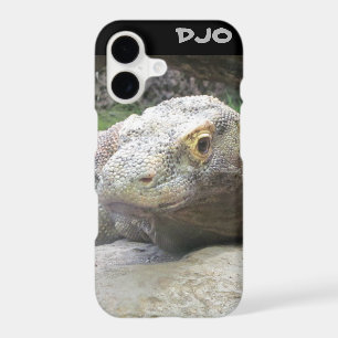 Komodo Dragon Face
