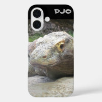 Komodo Dragon Face
