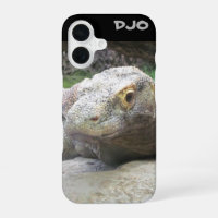 Komodo Dragon Face