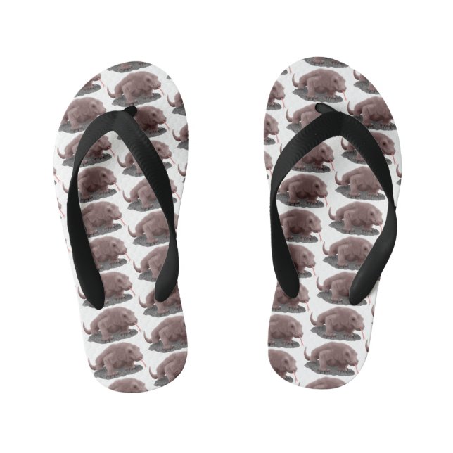 Komodo dragon illustration kid's flip flops (Footbed)