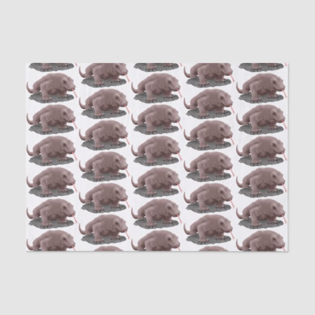 Komodo dragon illustration tissue paper (Front)