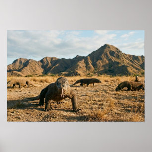 Komodo Dragon Indonesia National Park Wildlife Art Poster