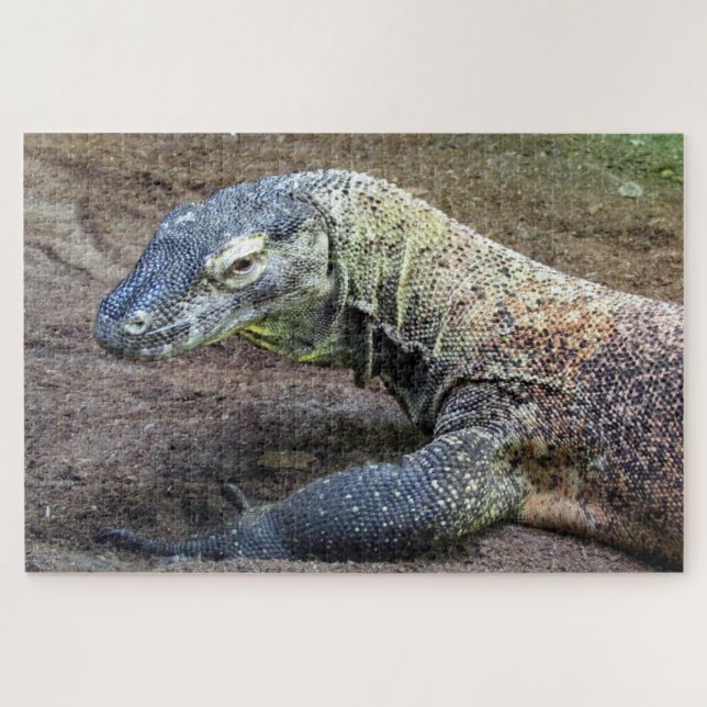 komodo dragon jigsaw puzzle (Horizontal)