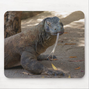 Komodo Dragon Licking Mouse Mat