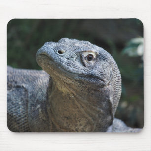 Komodo Dragon Mouse Mat