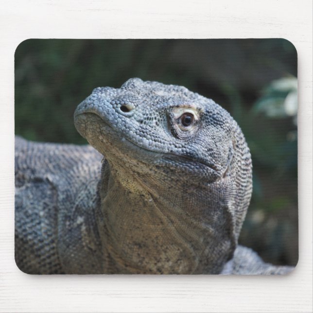 Komodo Dragon Mouse Mat (Front)