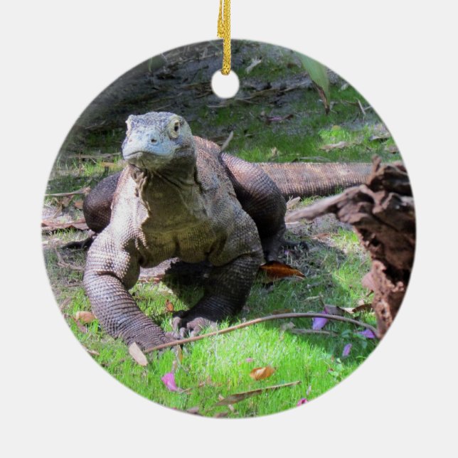 Komodo Dragon Ornament (Back)