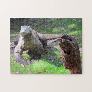 Komodo Dragon Puzzle