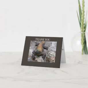 Komodo Dragon Rocky  Thank You Card