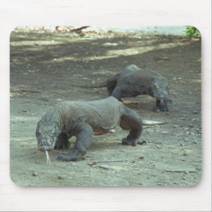 Komodo Dragons Mouse Mat