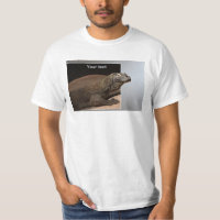 Komodo Island monitor dragon