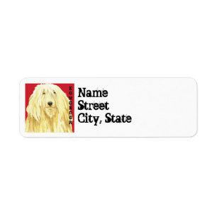 Komondor Colour Block