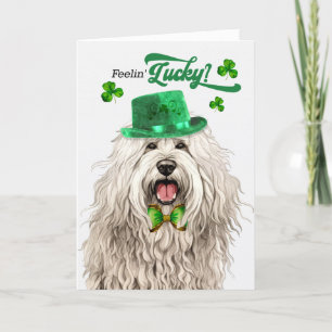 Komondor Dog Feelin' Lucky St Patrick's Day Holiday Card