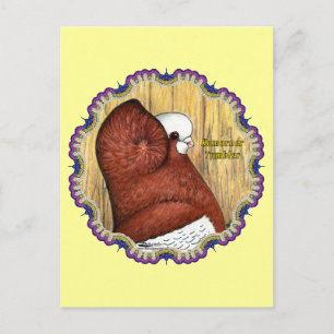 Komorner Tumbler Pigeon Woodgrain Postcard