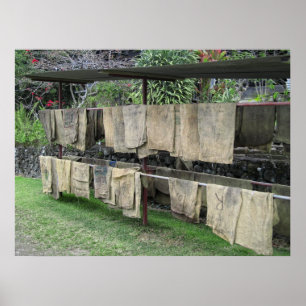 KONA COFFEE BAGS DRY on RACK - HAWAII Poster