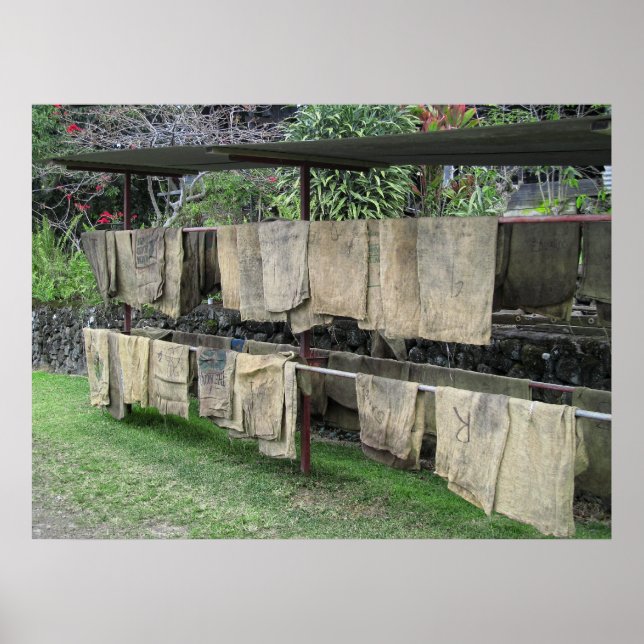 KONA COFFEE BAGS DRY on RACK - HAWAII Poster (Front)