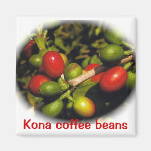 Kona Coffee Beans Magnet