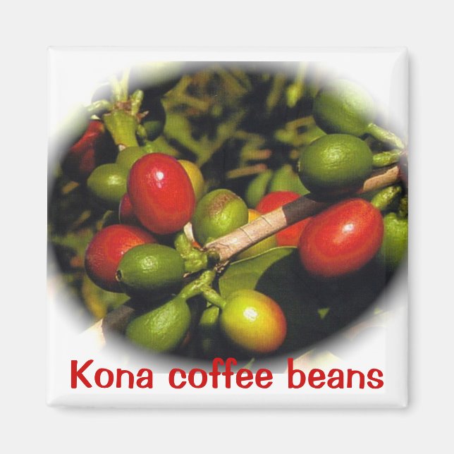 Kona Coffee Beans Magnet (Front)