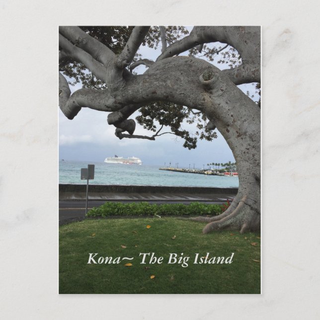 Kona Hawaii "The Big Island" Postcard (Front)